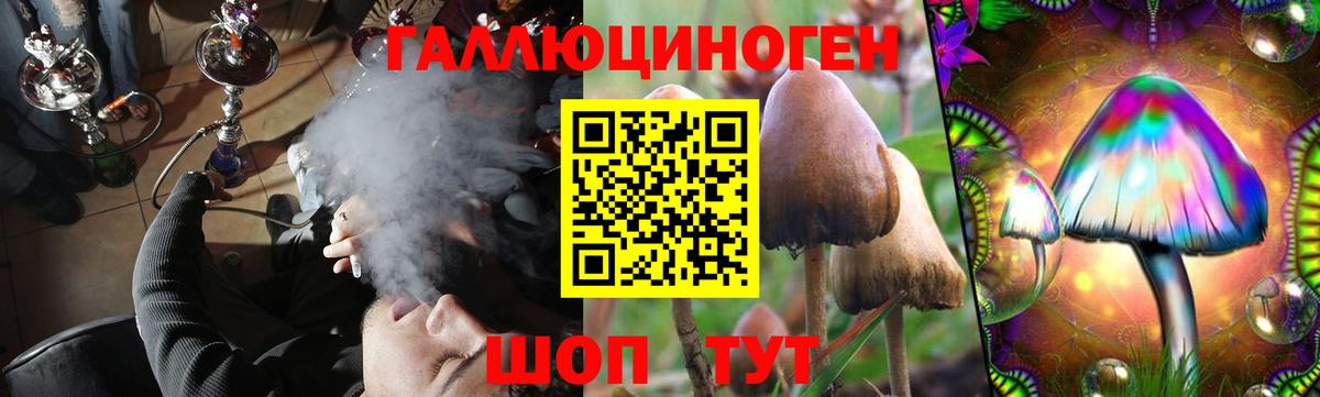 цена наркотик  Вход с VPN  Псилоцибиновые грибы Psilocybe  Орехово-Зуево  Галлюциногенные грибы прущие грибы 